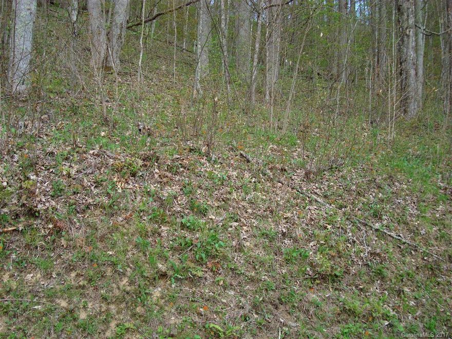 High Elevation close to hiking trail and access to Appalachian Trail. Close to Country club, fitness center and pro shop, in gated community. Lot 256 is also available. Lots have been surveyed and was perked at one time for a 3 bedroom septic.