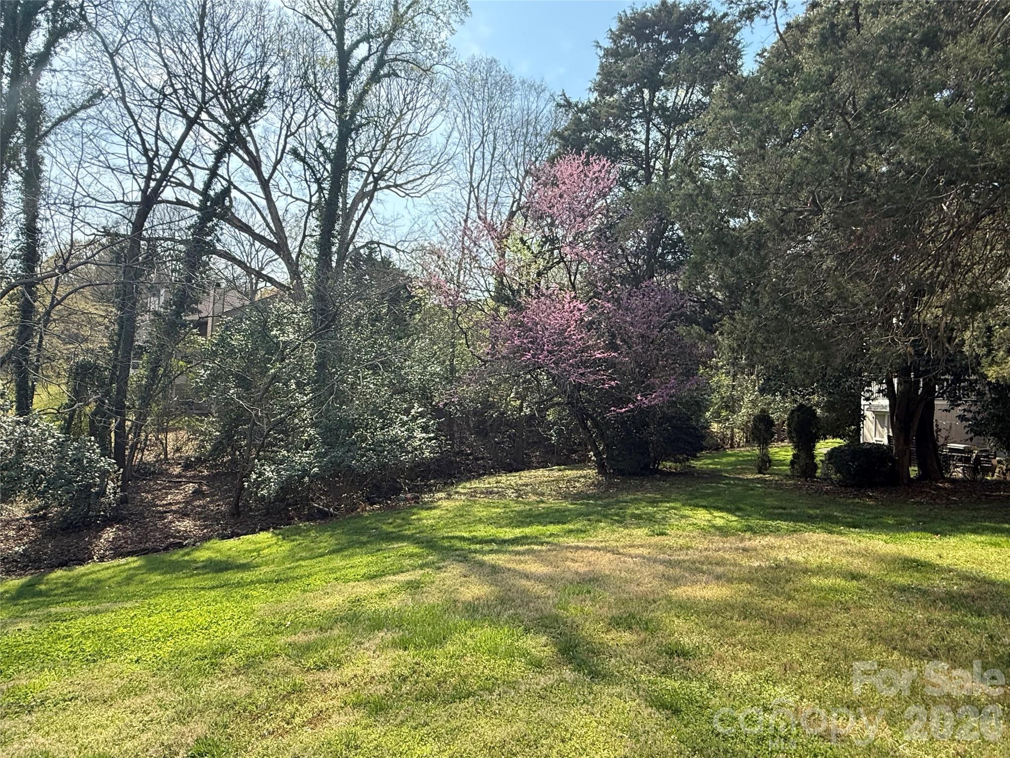 Cricket Lake - Residential