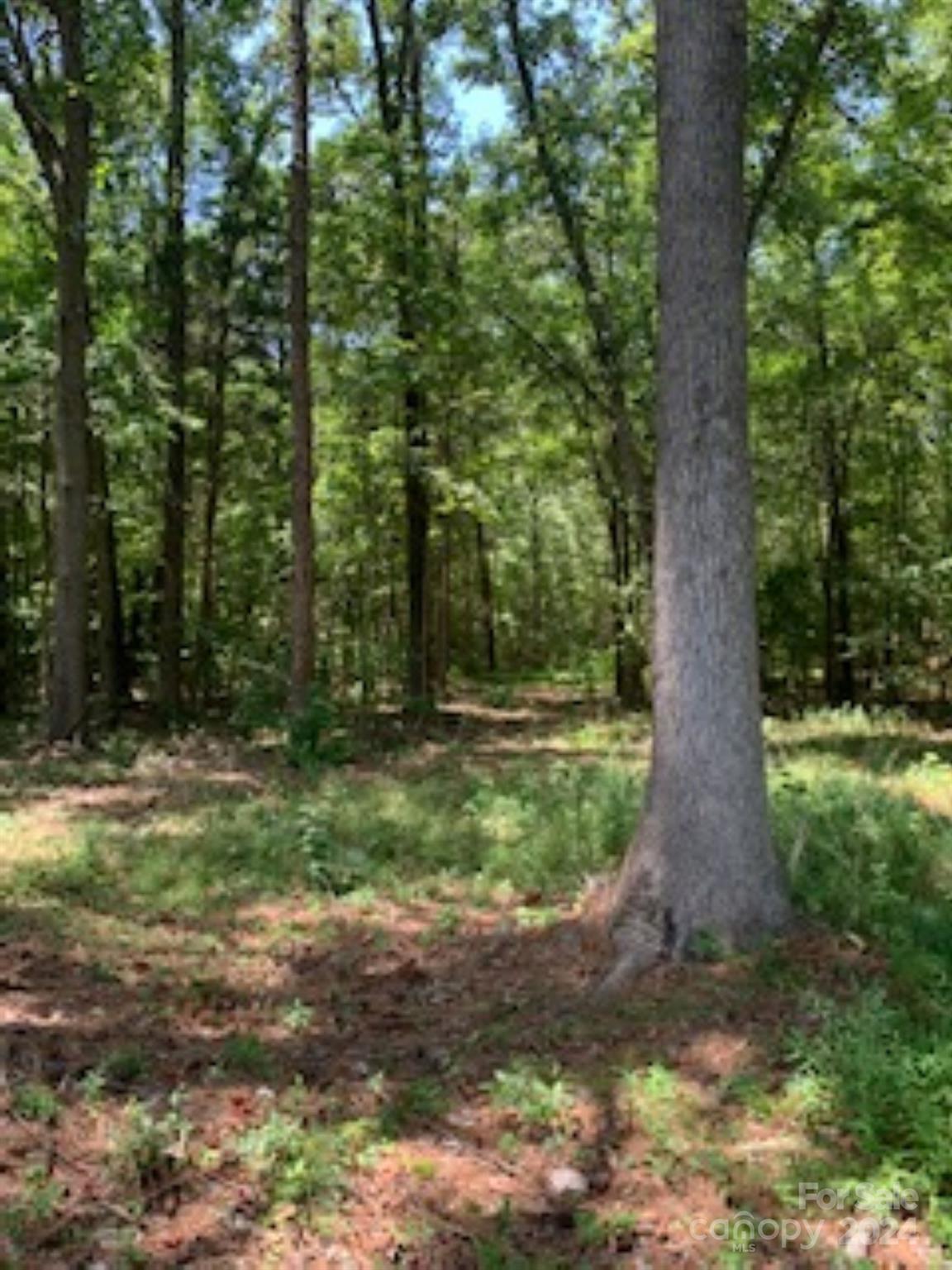 Lake Edward Estates - Land