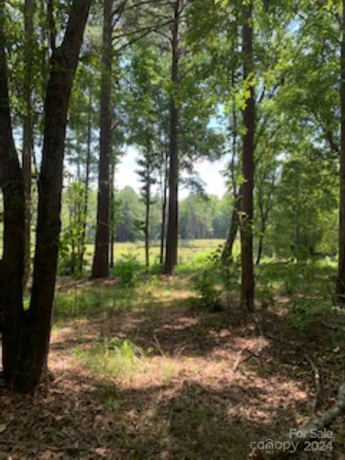 Lake Edward Estates - Land