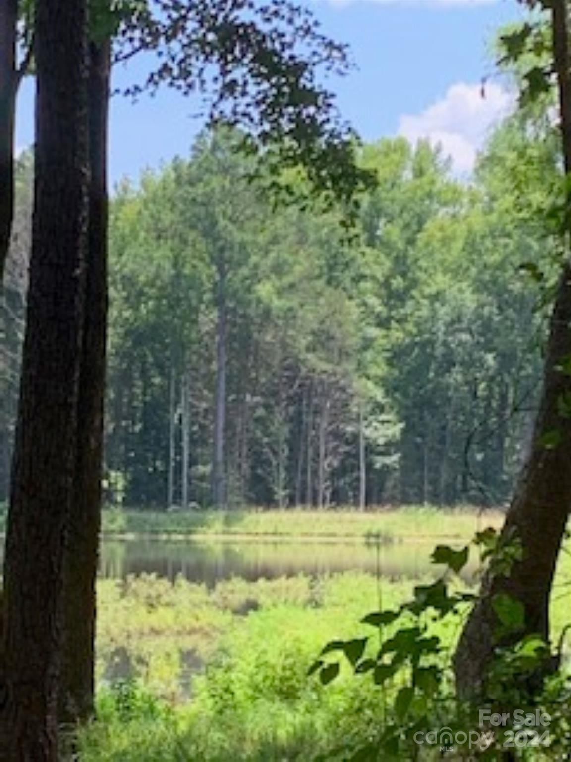 Lake Edward Estates - Land