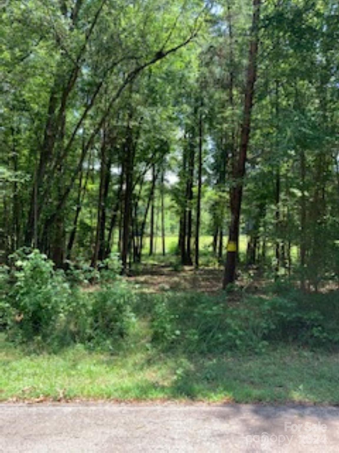 Lake Edward Estates - Land