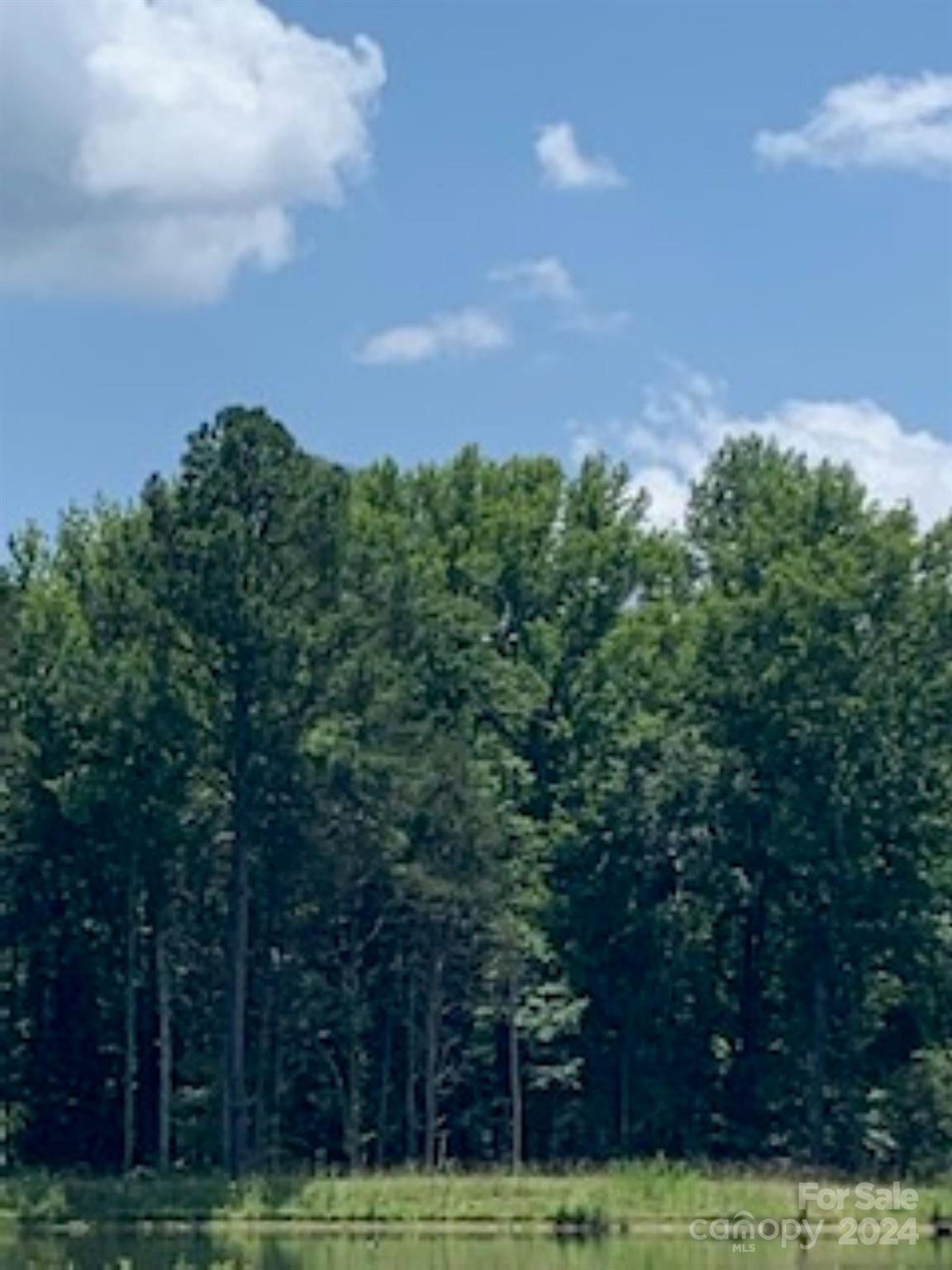 Lake Edward Estates - Land