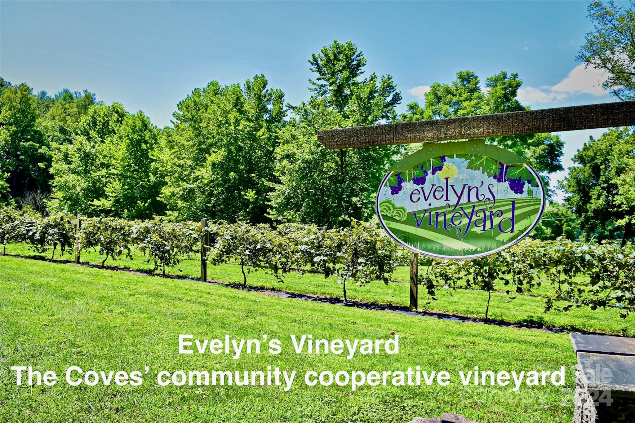 The Coves Mountain River Club - Land