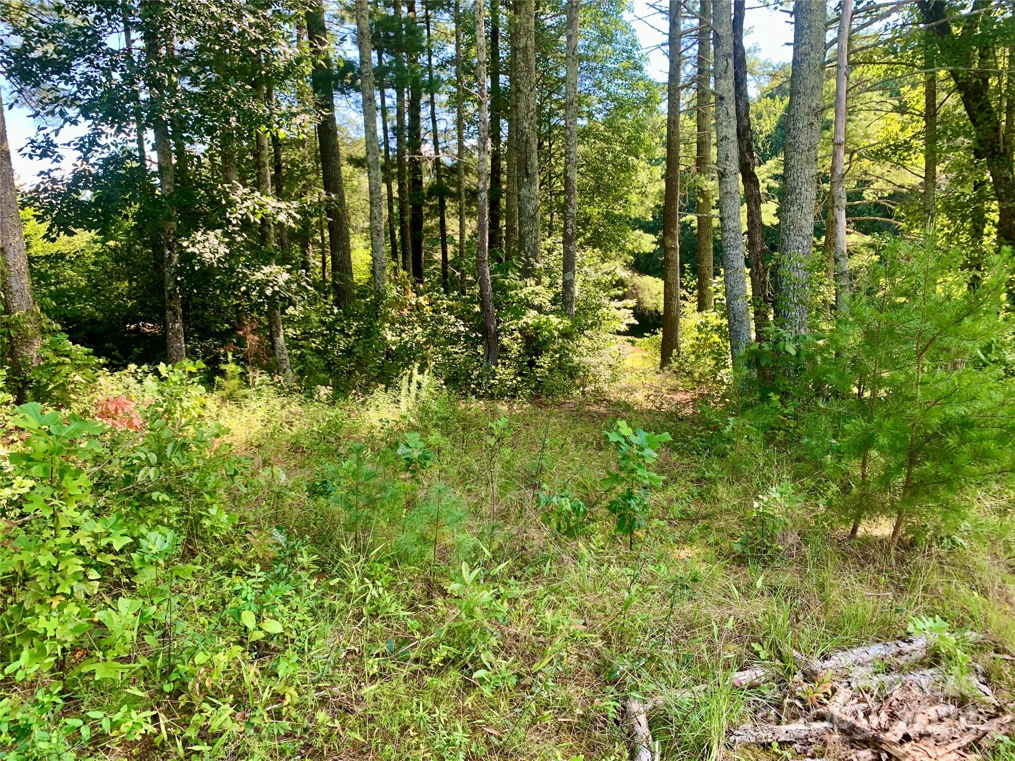 The Coves Mountain River Club - Land