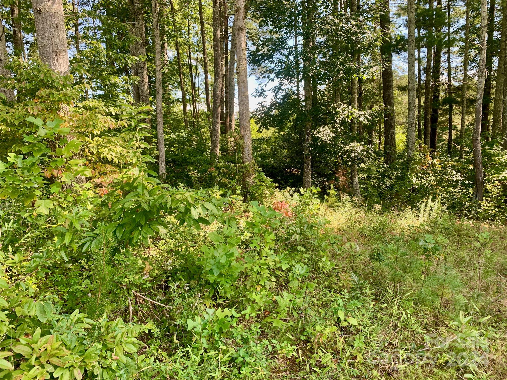 The Coves Mountain River Club - Land