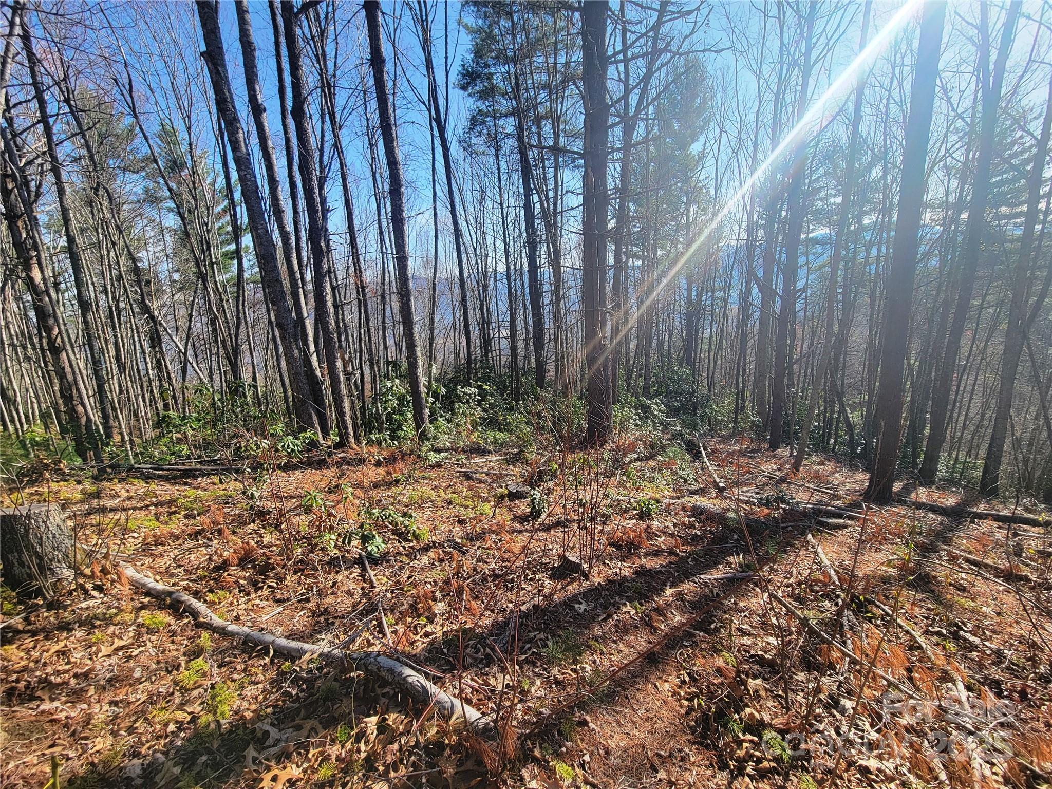 111 Digging Seng Trail 138