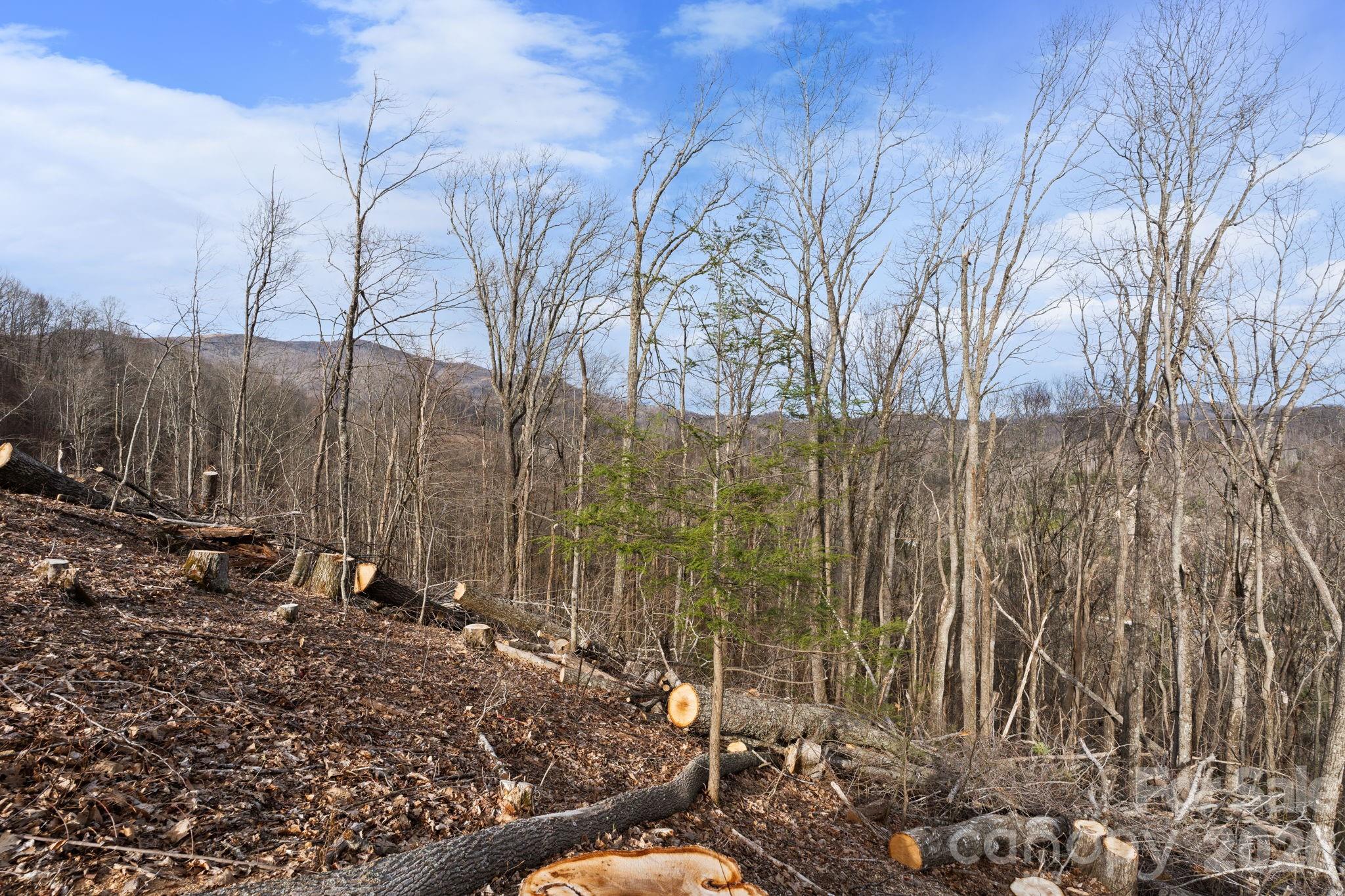 River Mountain - Land