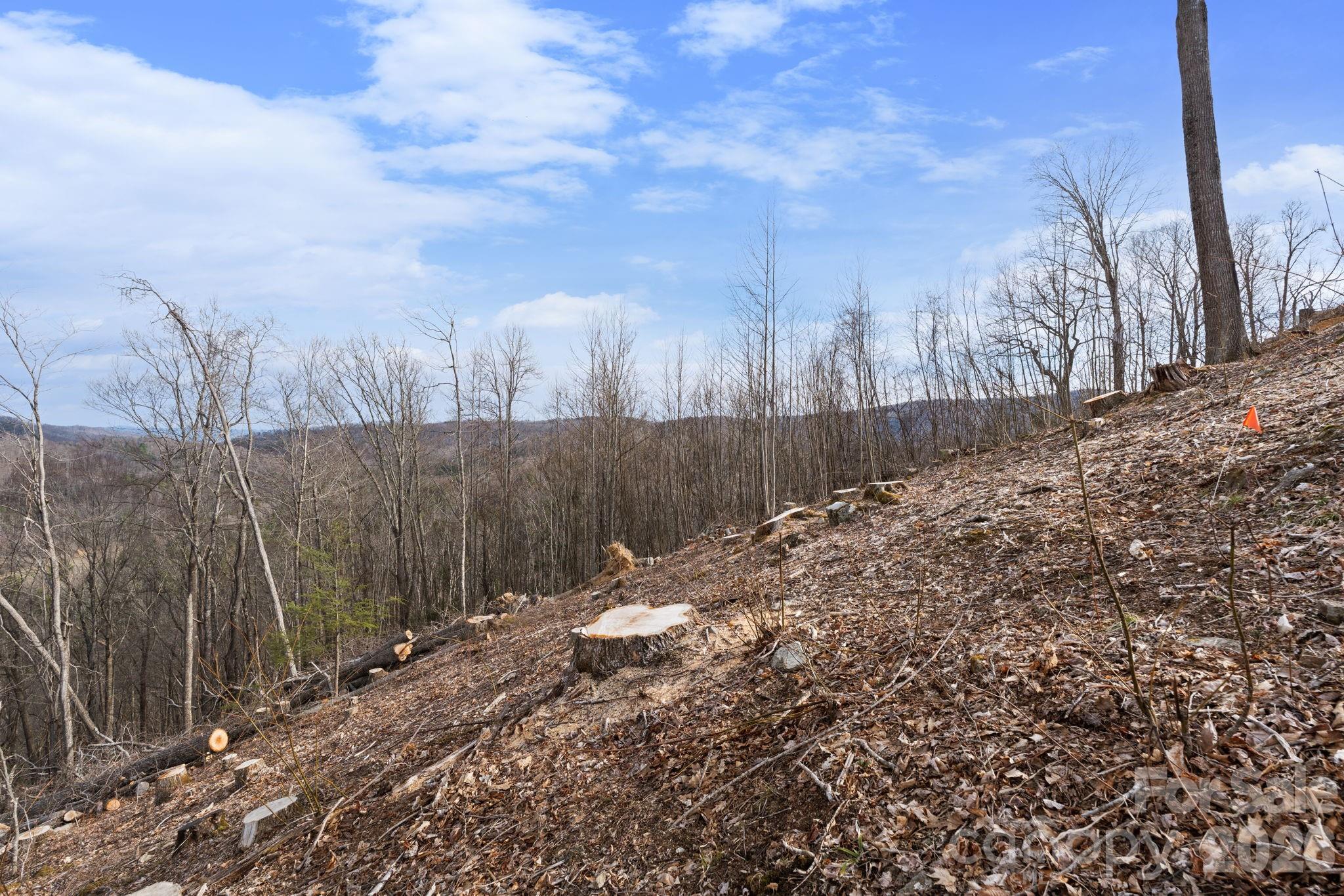 River Mountain - Land