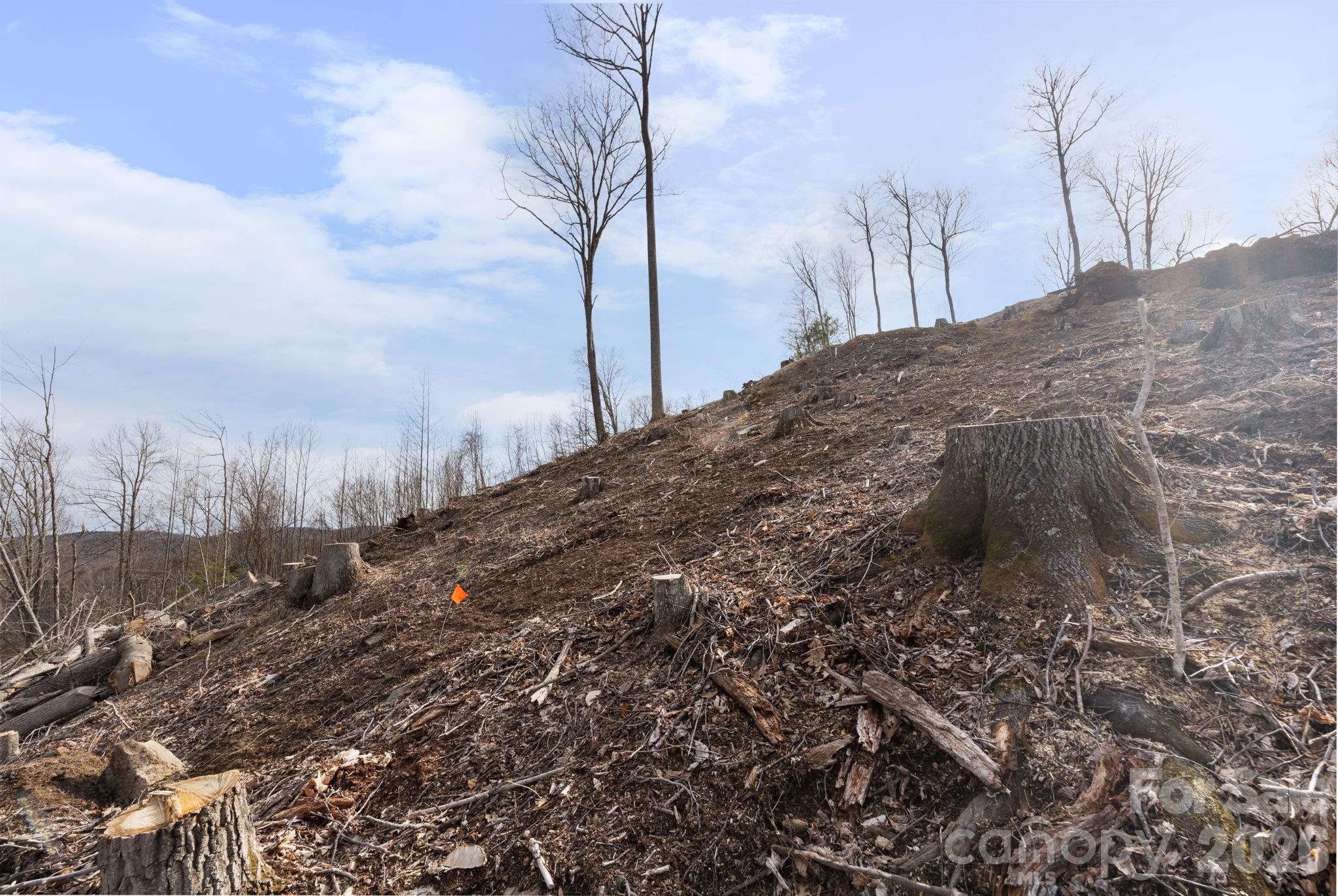 River Mountain - Land