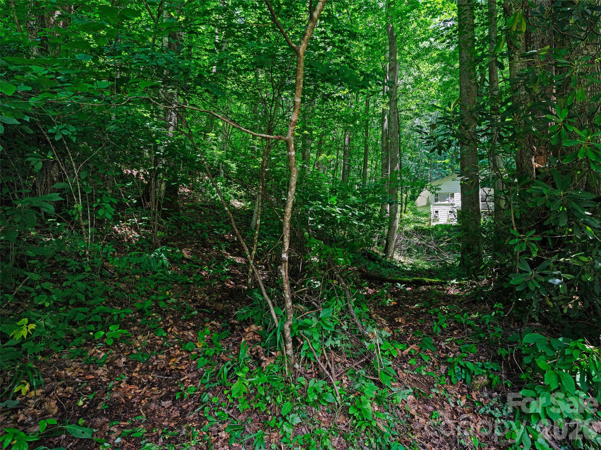 0000 Deep Gap Road