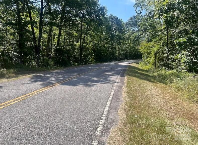 00 Blue Branch Road Tract C