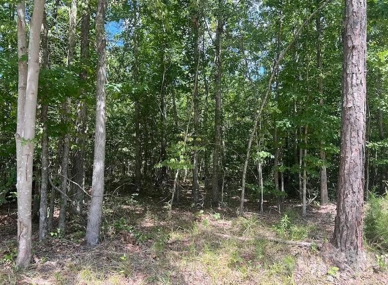 00 Blue Branch Road Tract C
