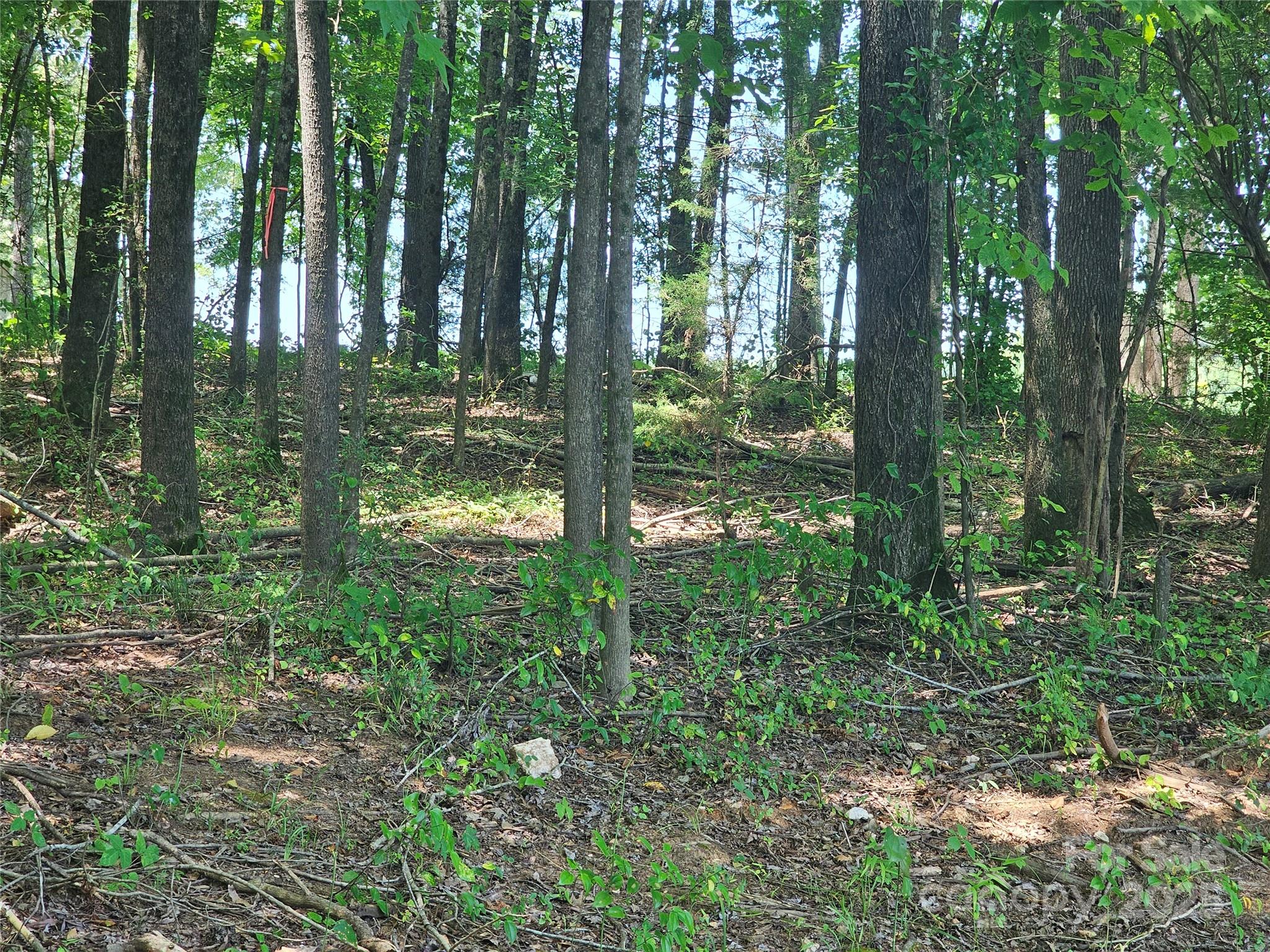 0000 Deer Tract Circle