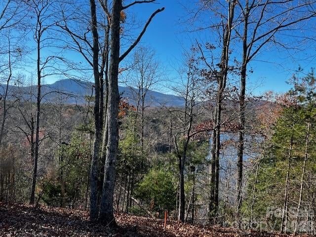 23 Mountain Parkway