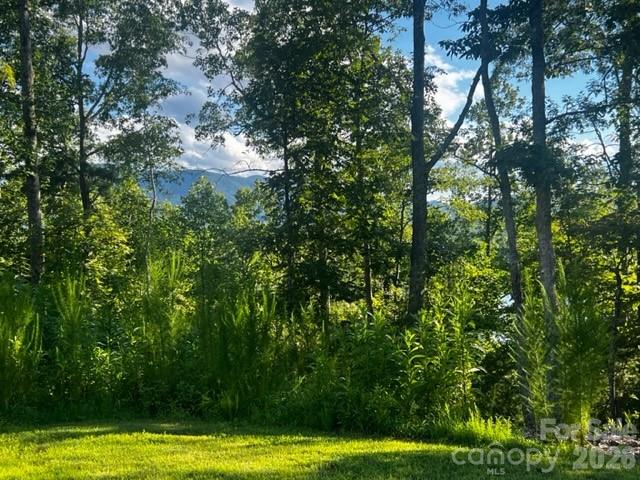 23 Mountain Parkway