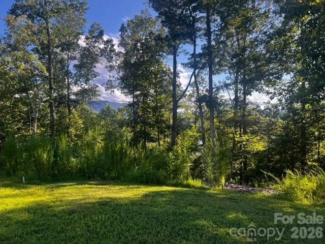 23 Mountain Parkway, Mill Spring, NC, 28756