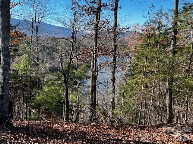 23 Mountain Parkway