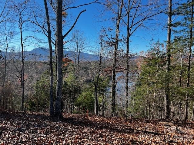 23 Mountain Parkway
