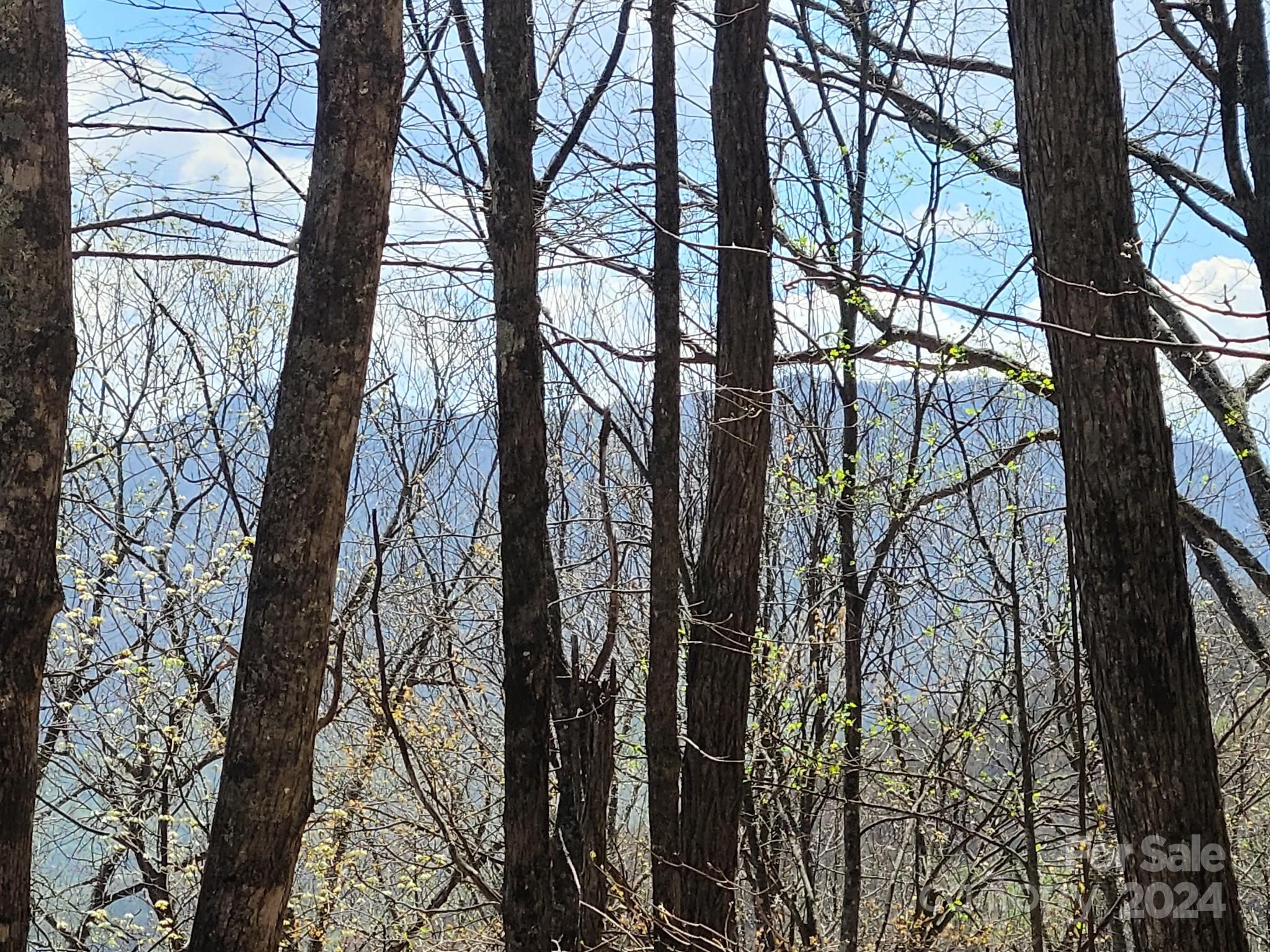 000 Skyline Drive