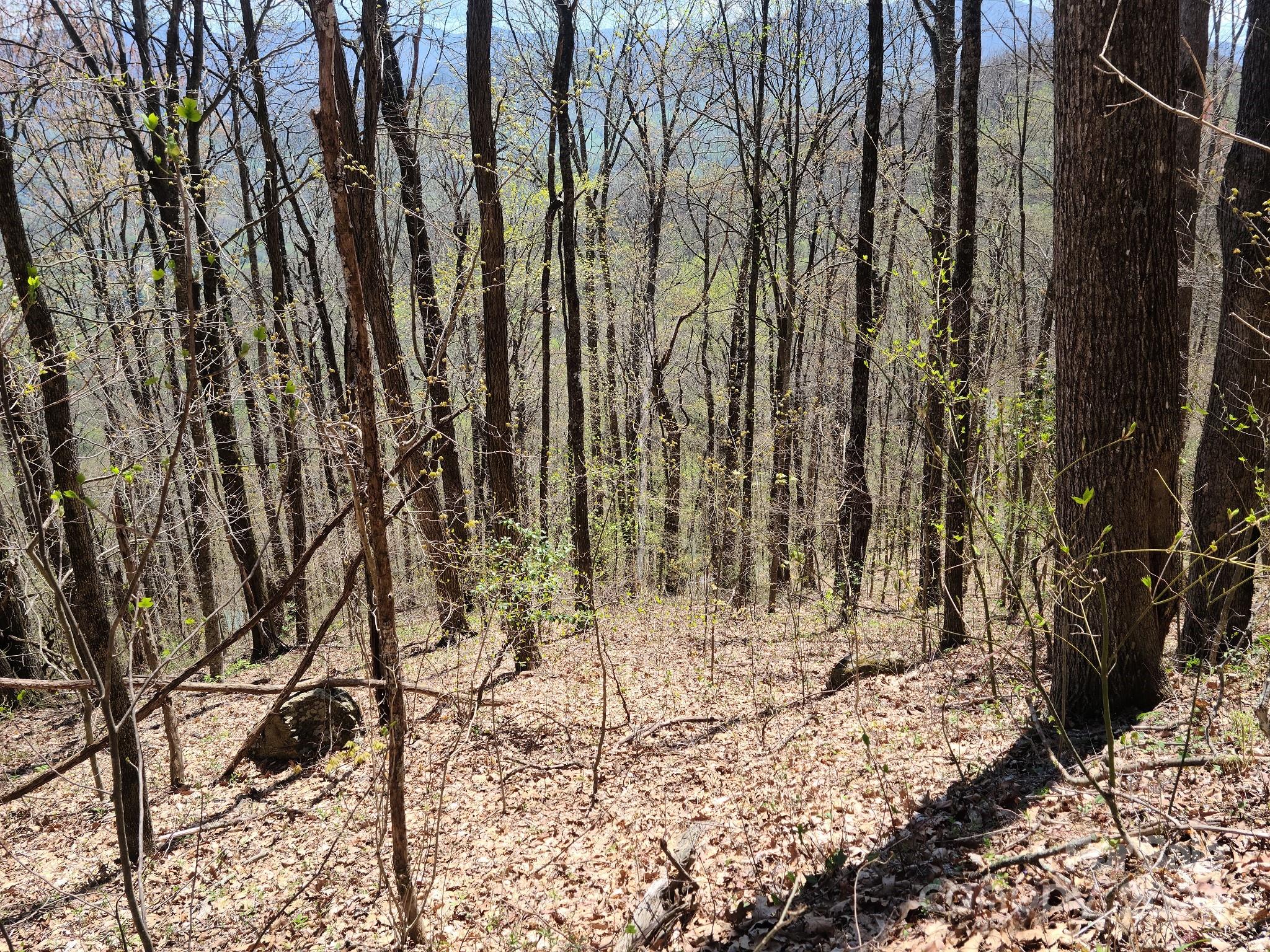 Eagles Nest Mountain - Land