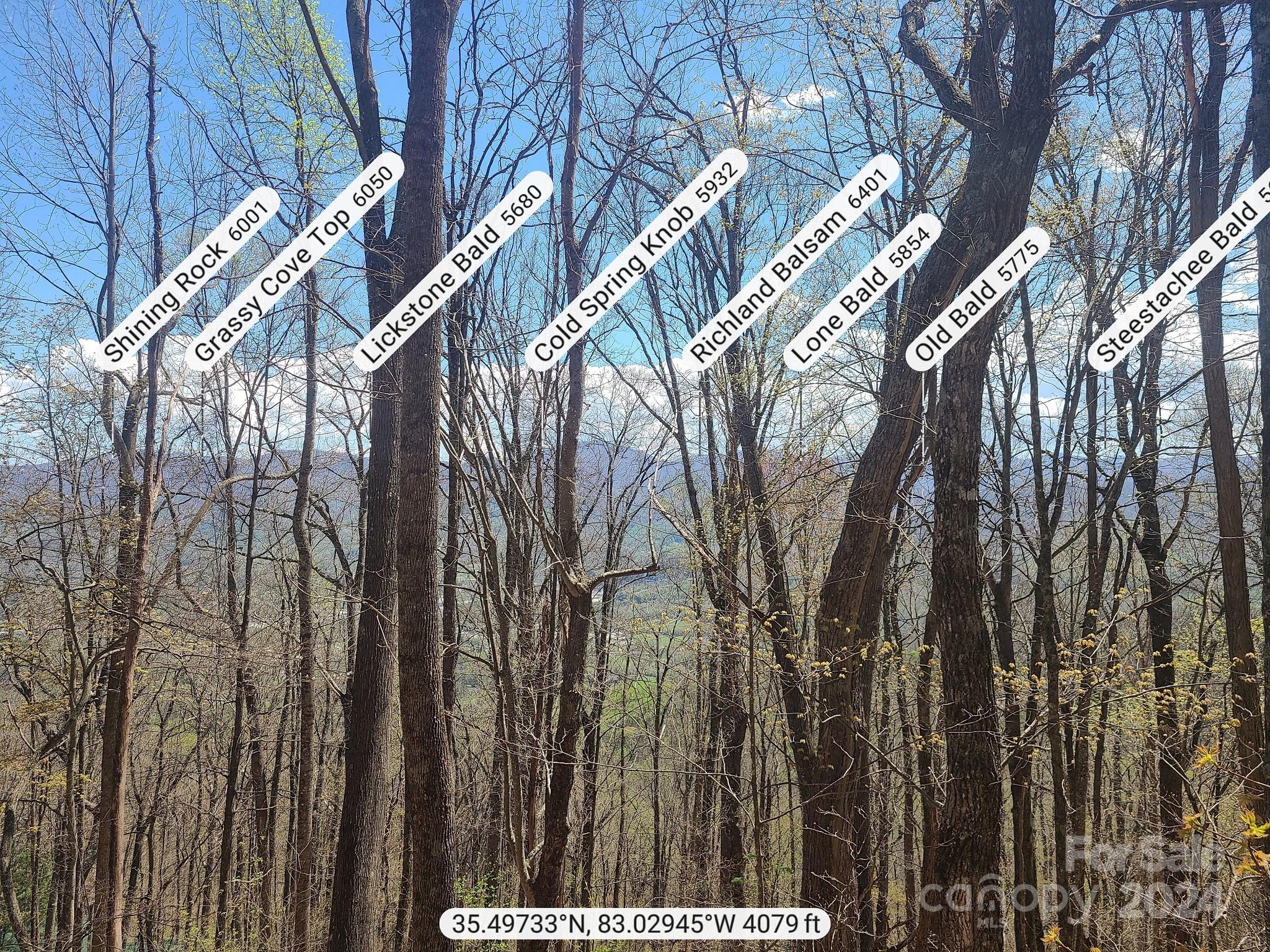 000 Skyline Drive
