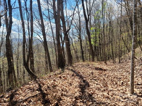 000 Skyline Drive Waynesville NC 28786