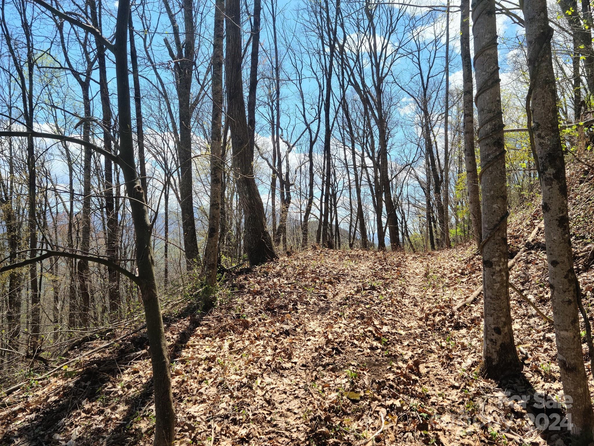 Eagles Nest Mountain - Land