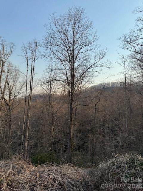 Living Waters - Land