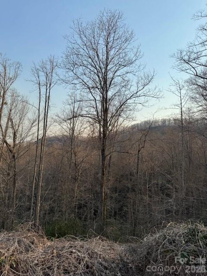 Welcome to this picturesque property nestled in a serene and tranquil setting, perfect for those seeking peace and privacy. Located in a highly desirable area, this just-over-an-acre parcel offers lush greenery, majestic views of the Blue Ridge Mountains, and the ideal space to build your dream home or vacation retreat. Utilities are conveniently accessible at the road’s edge. Just a mile from Hwy 9 and 12 miles from I-40—far enough to enjoy quiet, yet close to everything. The historic town of Black Mountain adds charm, while Asheville, Lake Lure, Chimney Rock, and more are just a short drive away!