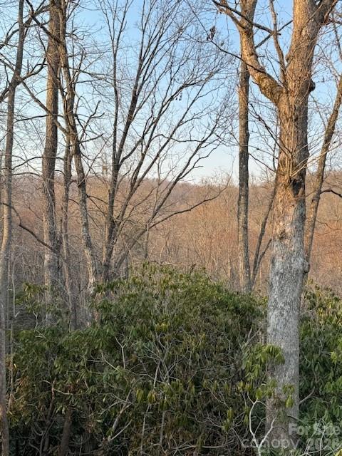 Living Waters - Land