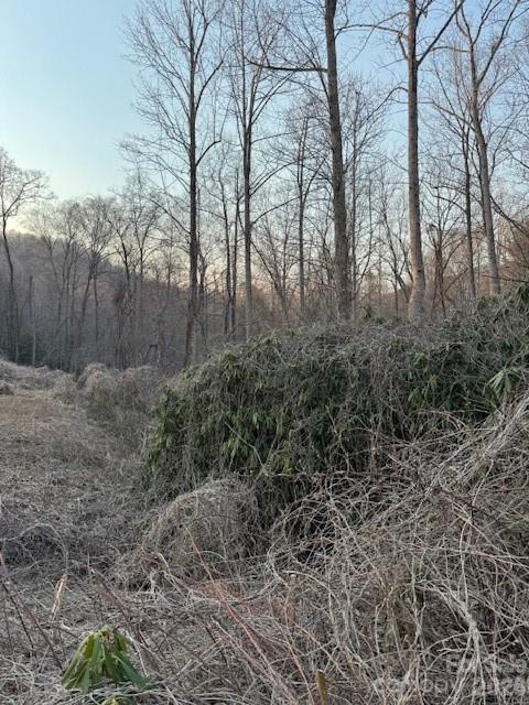 Living Waters - Land