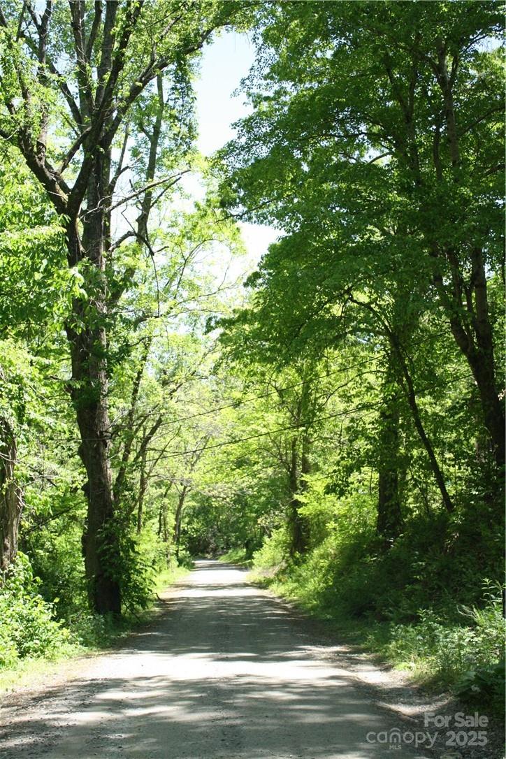 TBD Greenyard Trail 2