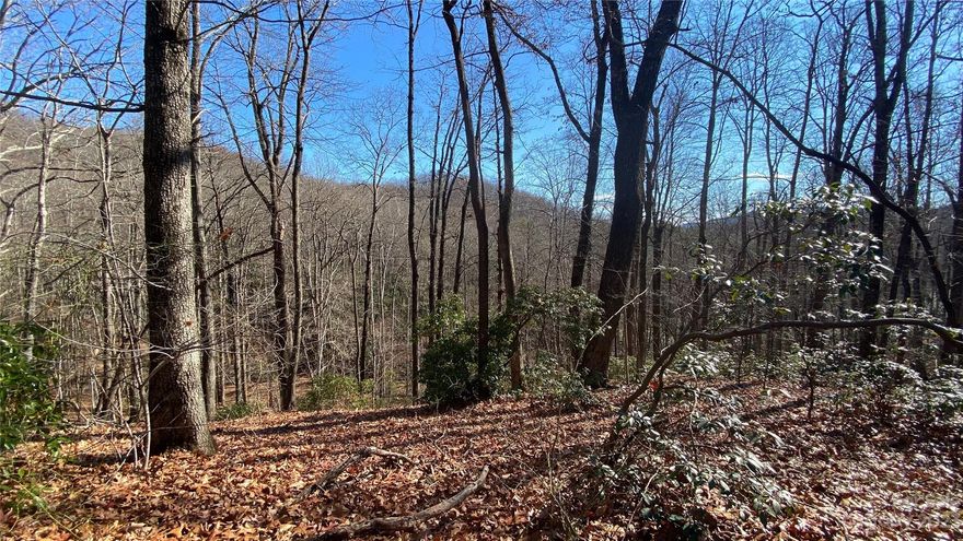 Welcome to 108 Camp Elliott Rd. This property has 5.5 acres of southern exposure and the potential for multiple house sites, allowing you to design your own sanctuary amidst the breathtaking mountain landscape. Nature enthusiasts will appreciate the abundance of outdoor activities available in the area and the convenience of the nearby farm village and school. Whether you're looking for views and/or water this property has it. There is a small stream running through the 5.5. acres. Don't miss your chance to own this remarkable property!