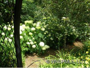 Biltmore Forest - Residential