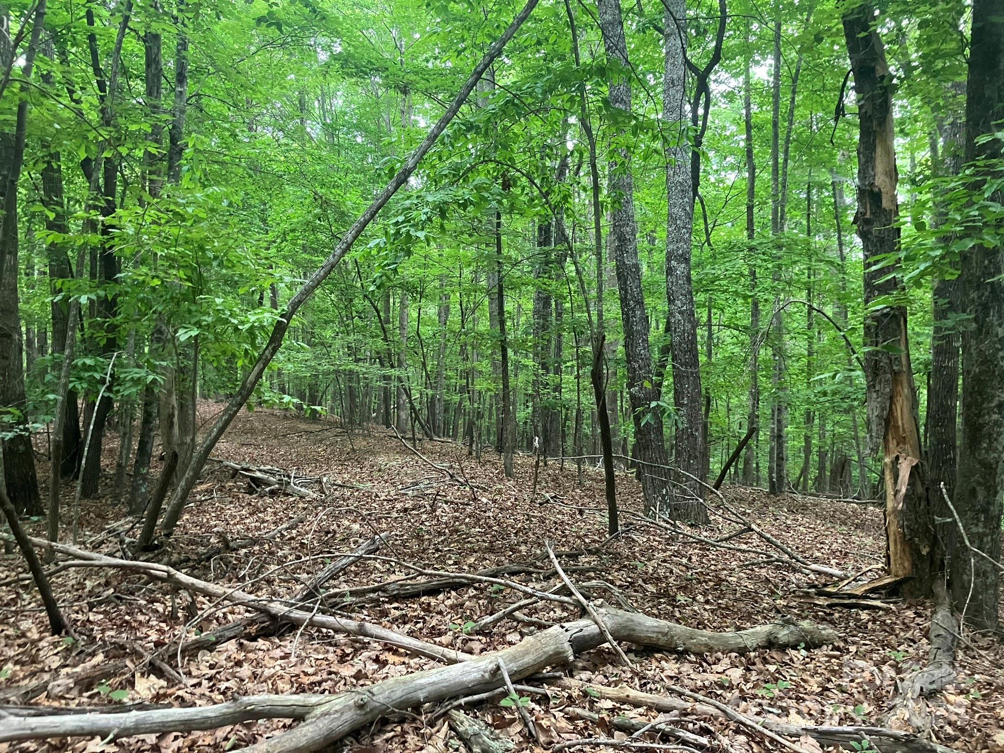 Grandview Peaks - Land