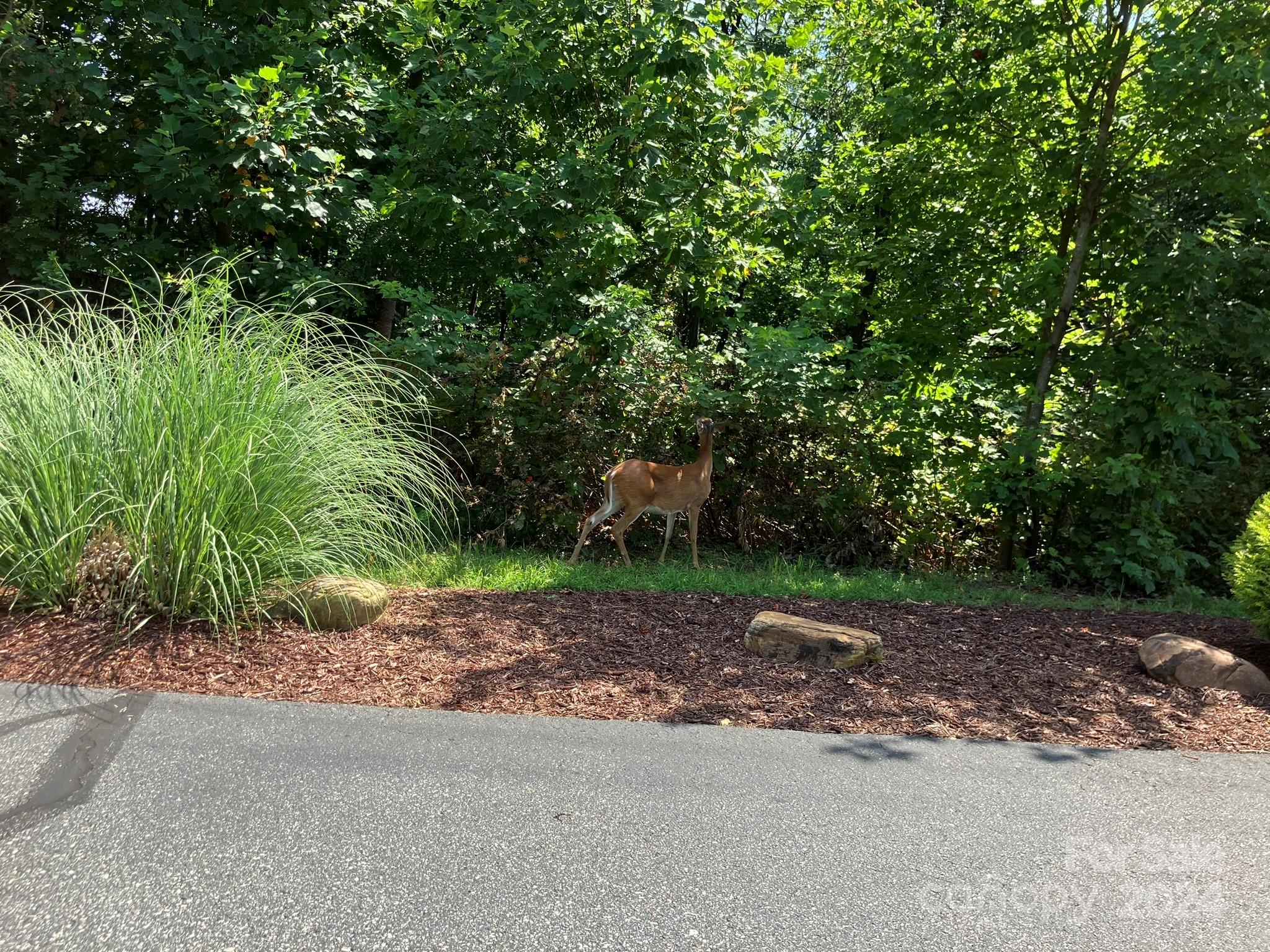 Grandview Peaks - Land