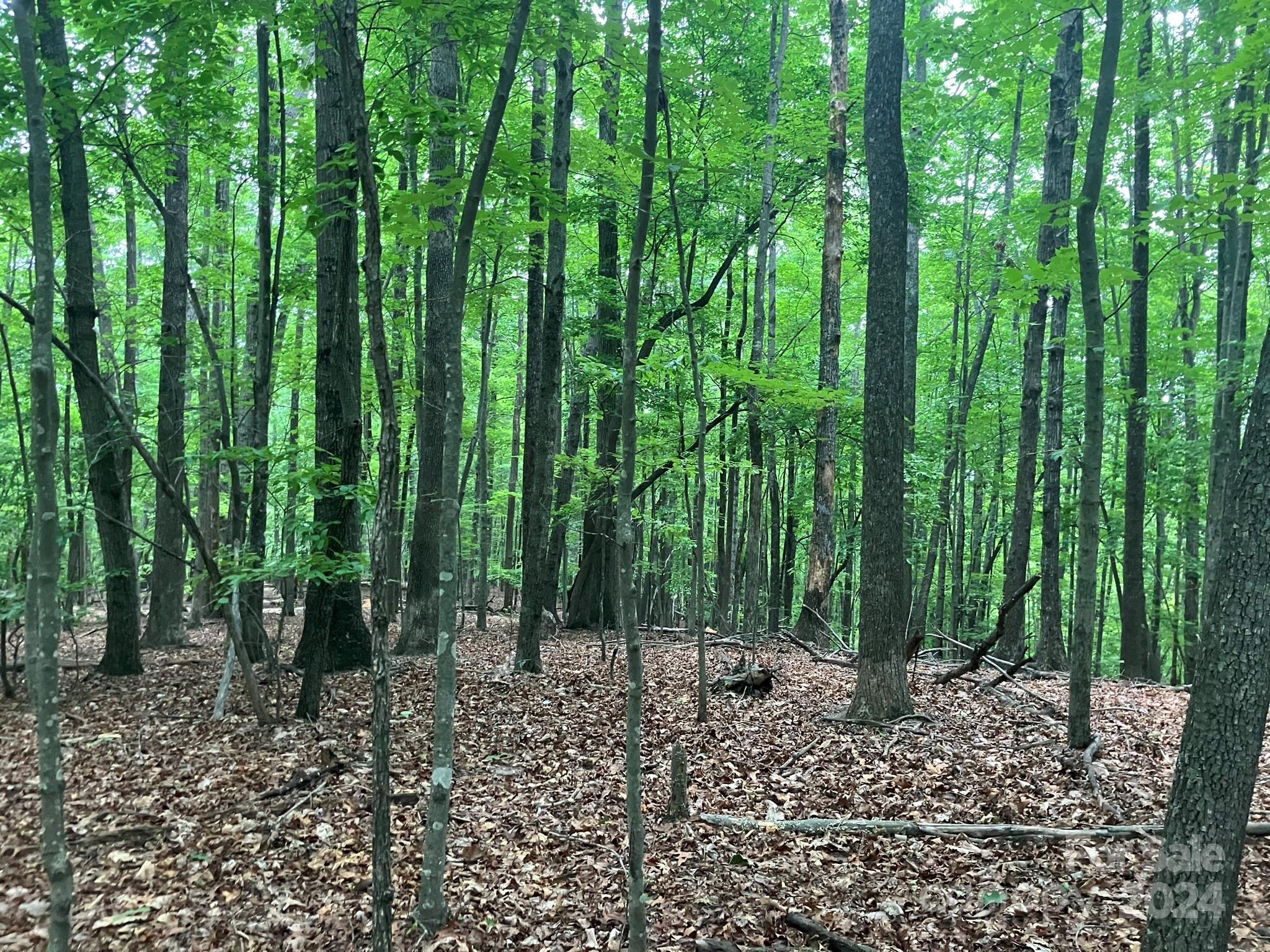 Grandview Peaks - Land