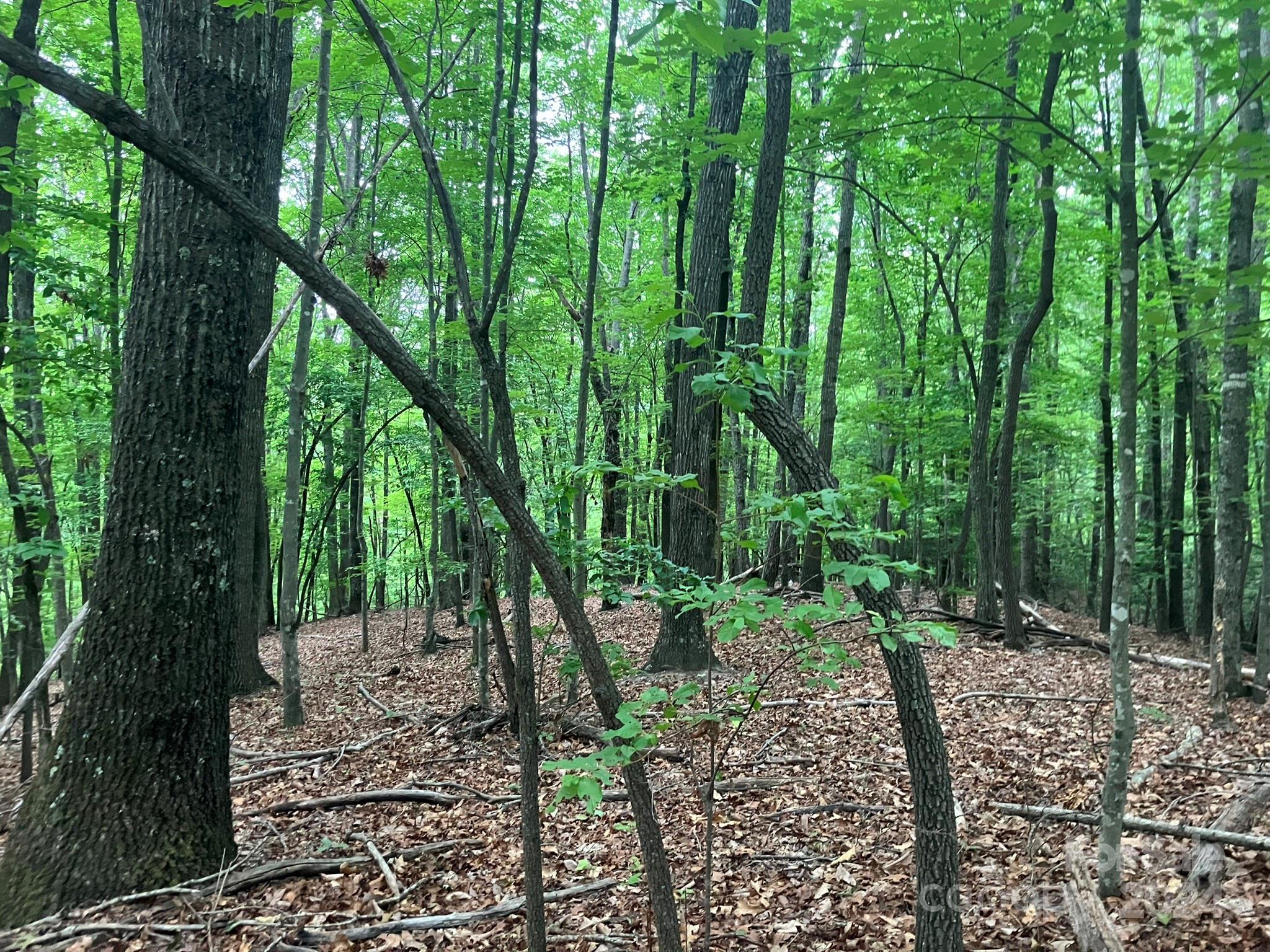 Grandview Peaks - Land