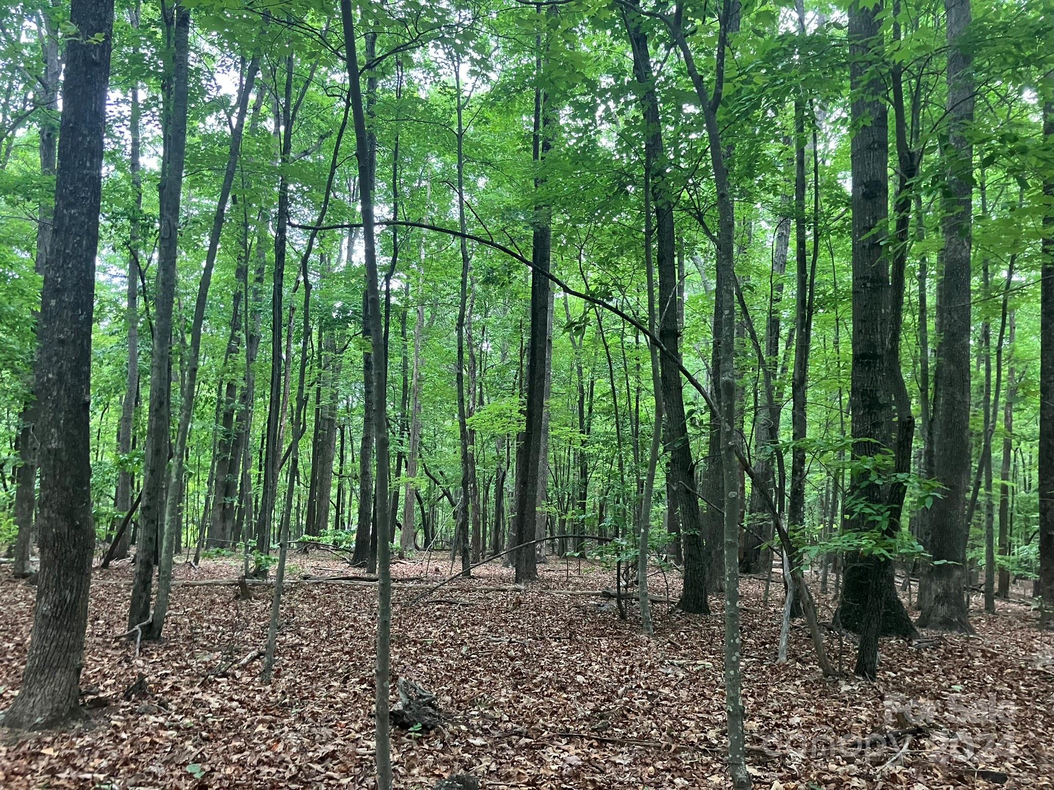 Grandview Peaks - Land