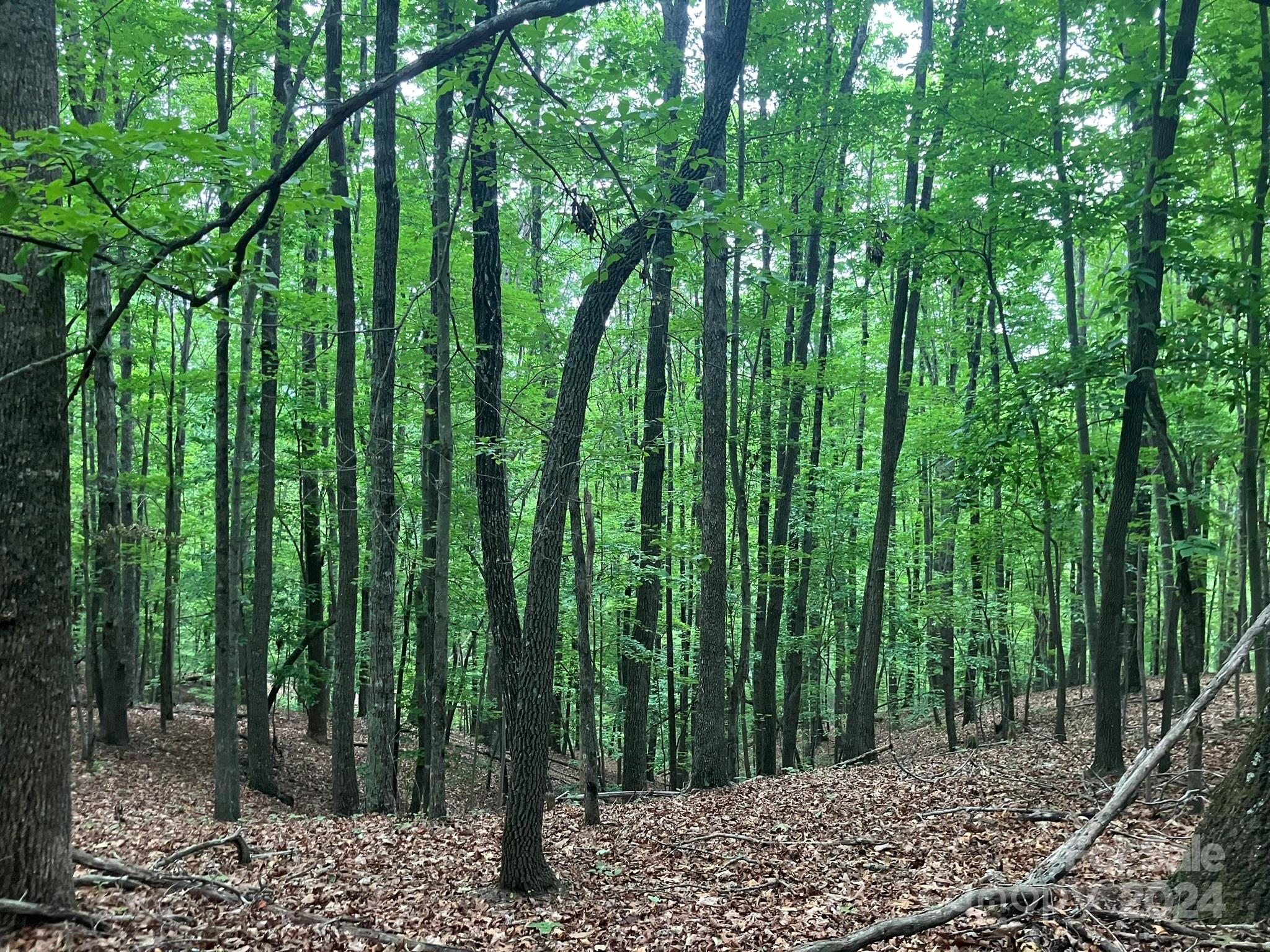 Grandview Peaks - Land