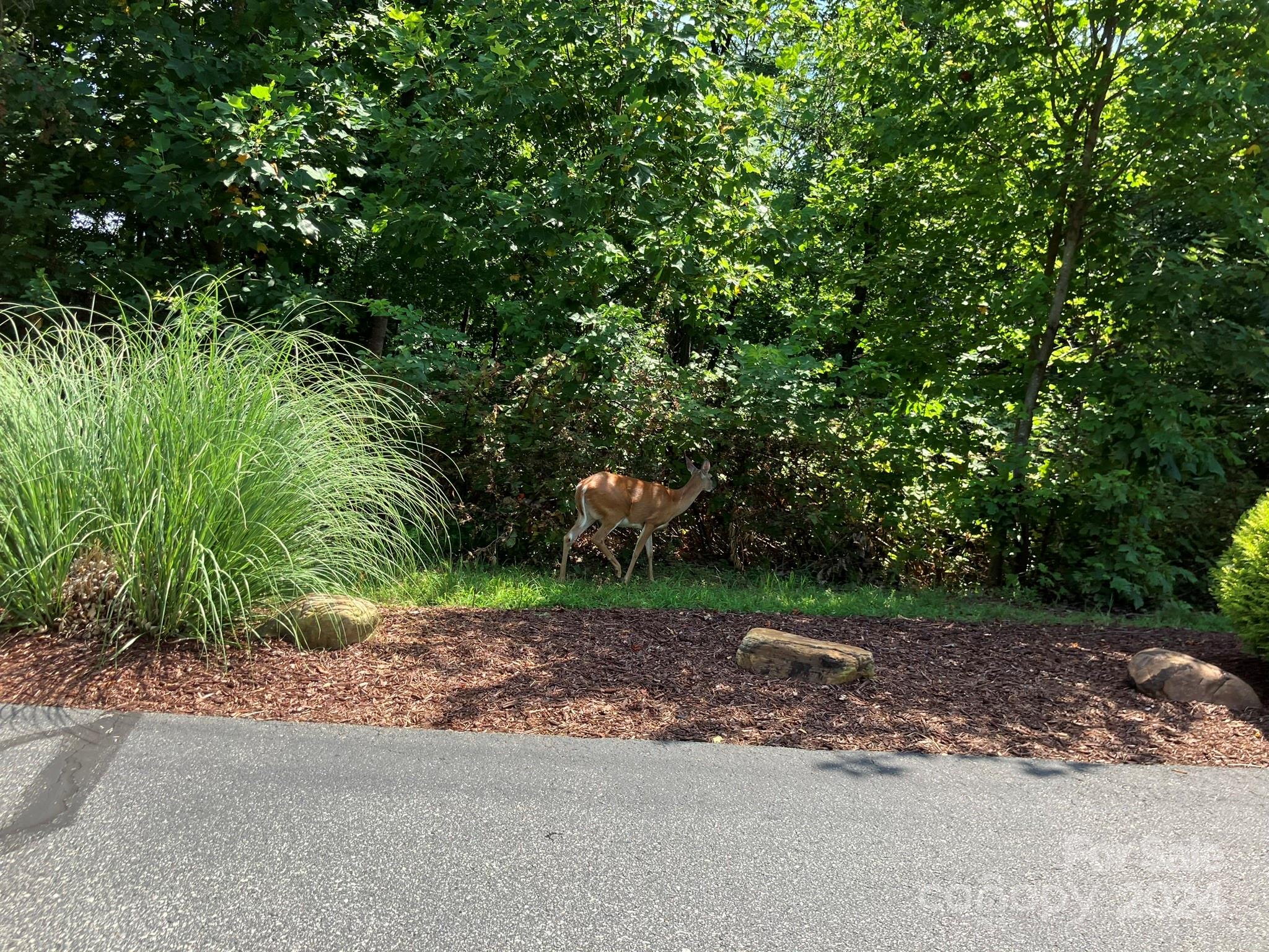 Grandview Peaks - Land