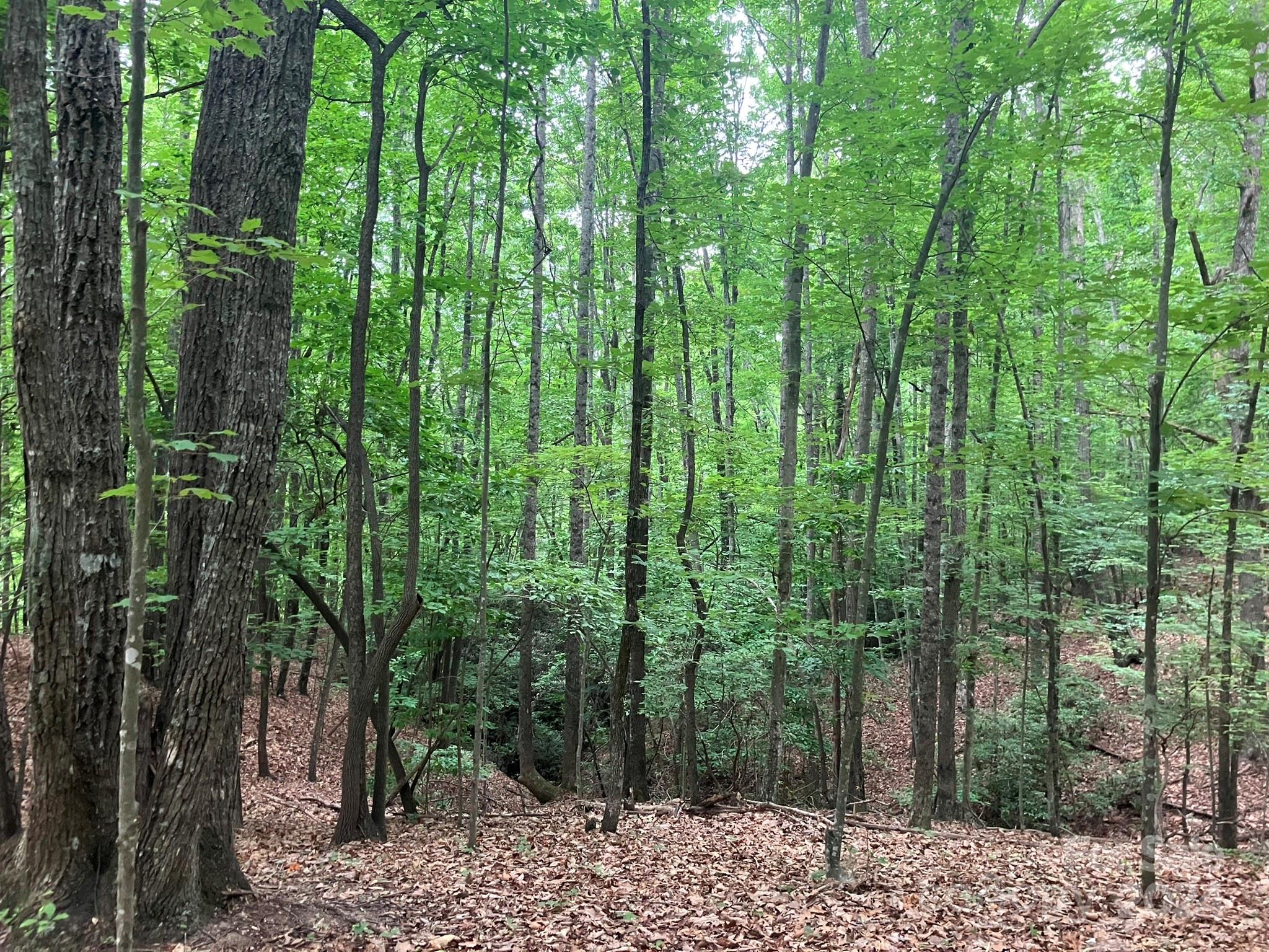 Grandview Peaks - Land