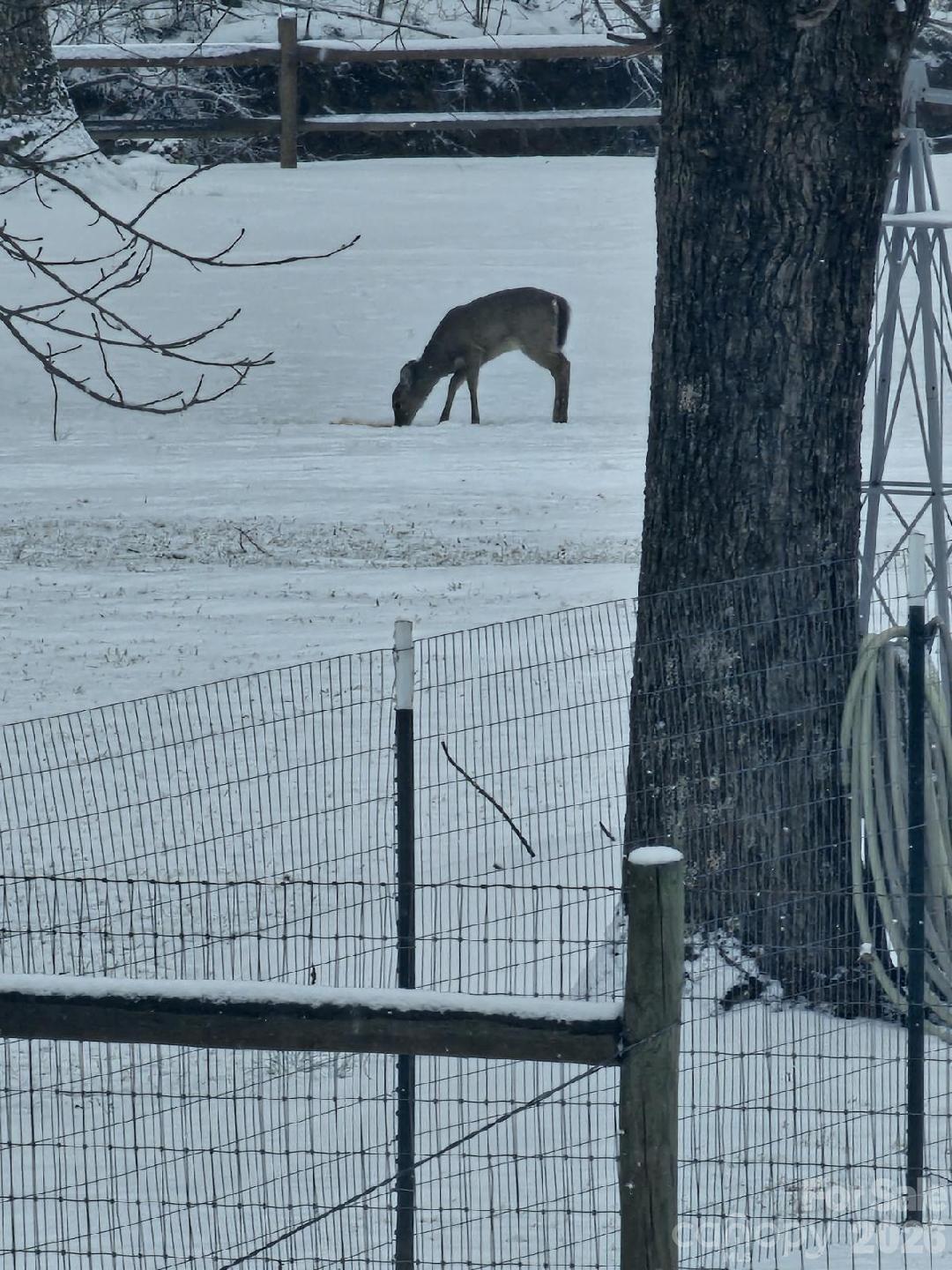 Charles D Owens Co - Residential