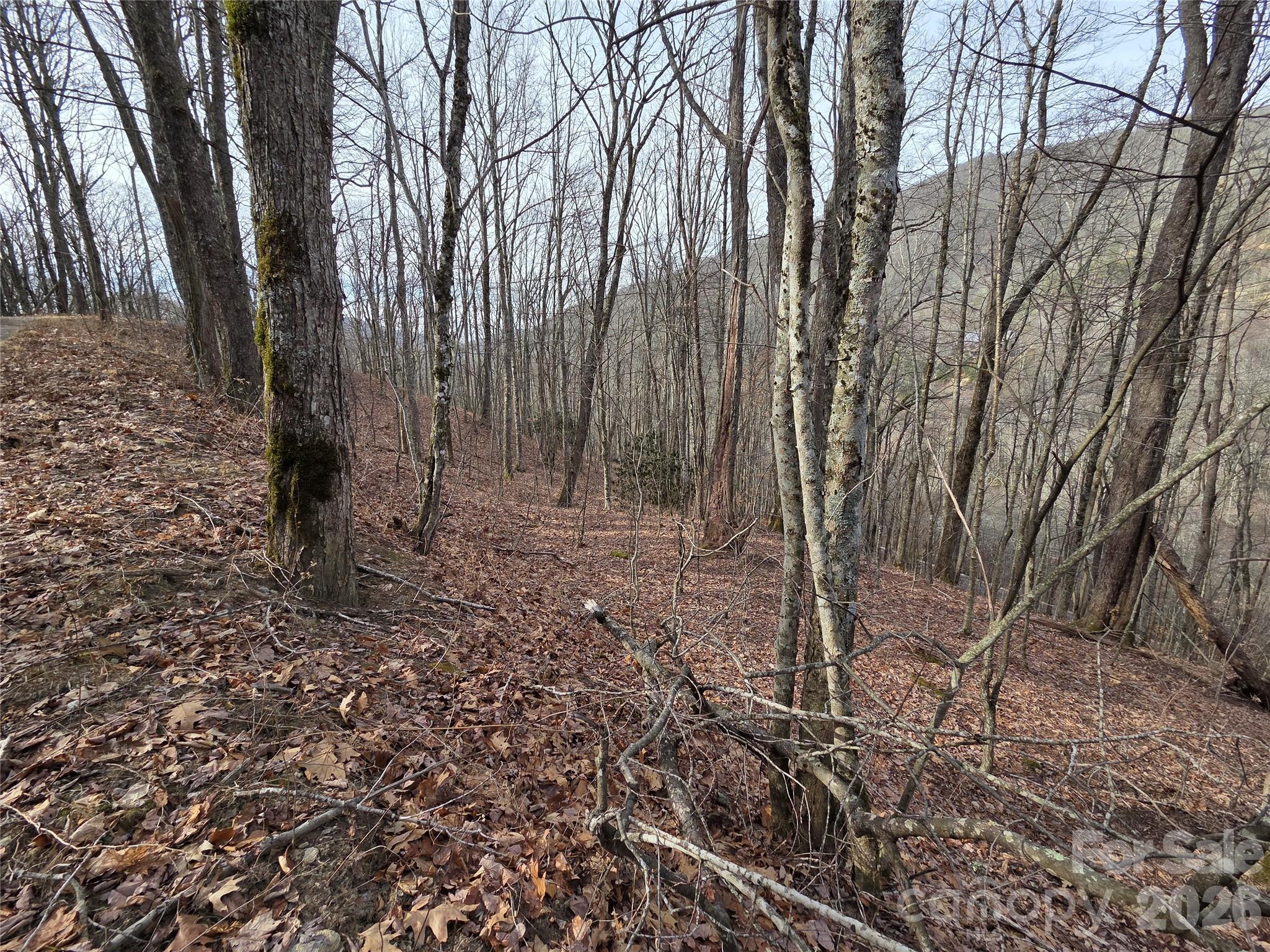 Buckeye Woodlands - Land