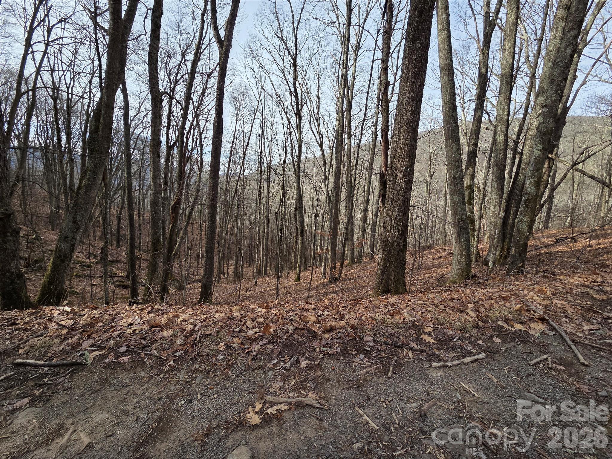 Buckeye Woodlands - Land