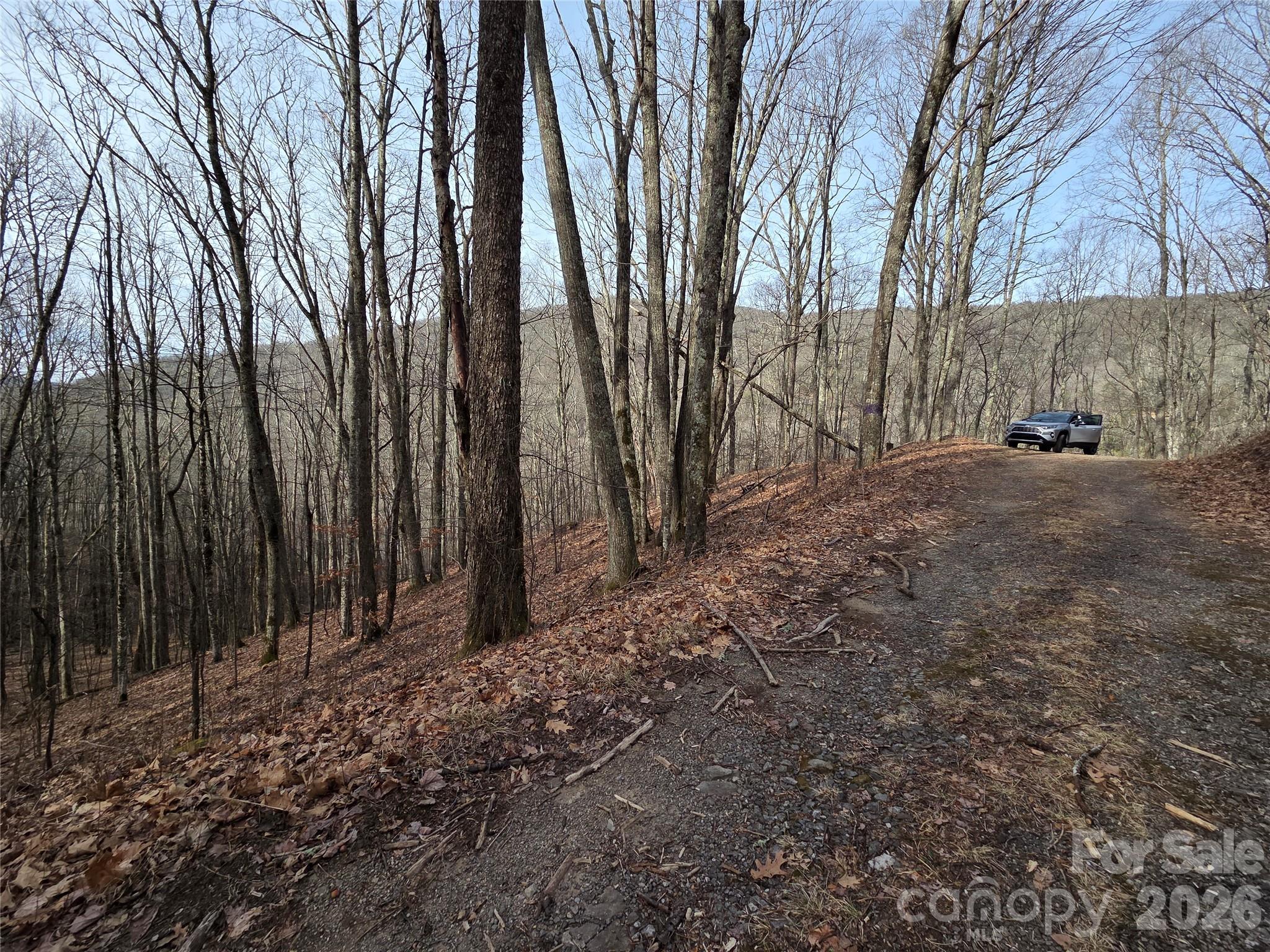 Buckeye Woodlands - Land