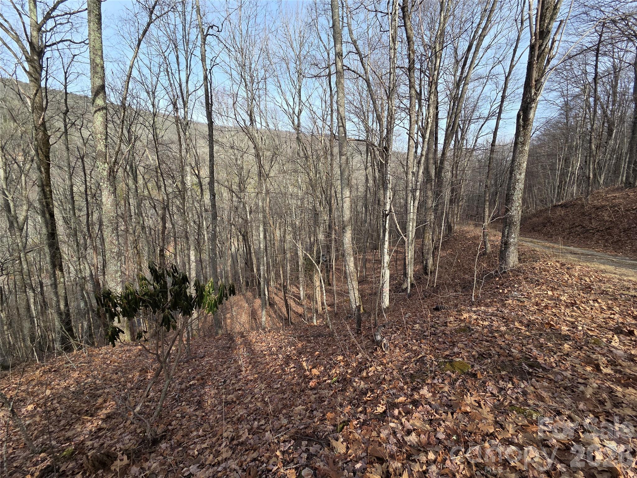 Buckeye Woodlands - Land