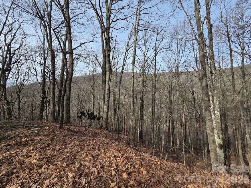 This 8.92 +/- acre mountain property boasts road frontage on both Fie Top and Goat House Way, just 1.3 miles from the Cataloochee Ski Area. Sitting at a refreshing 4,300 ft elevation, this unrestricted land is a rare find in the mountains. What makes it even more unique is that plans are already in place for 12 rental units. With the seller’s circumstances changing, this could be the perfect chance to snag a great investment.