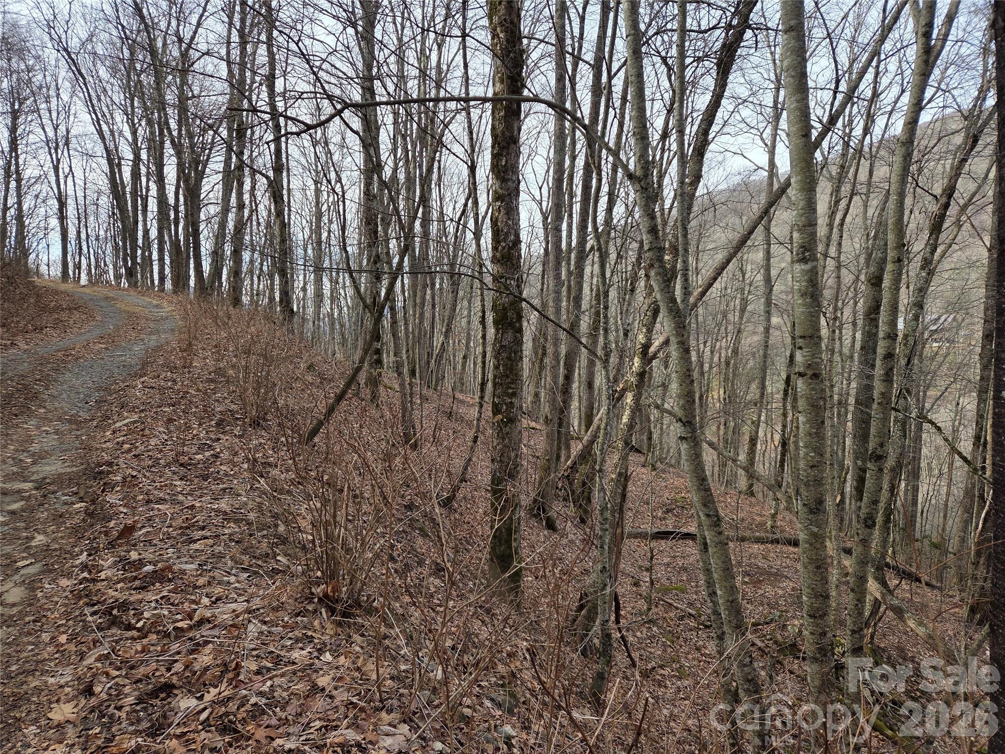 Buckeye Woodlands - Land